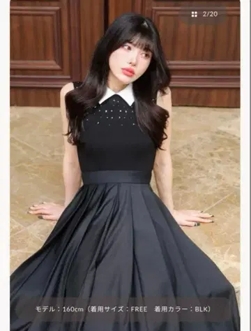 다리치의 랜덤 비쥬 슬리브리스 롱 원피스