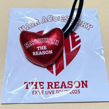 호리 나츠키 머리끈 EXILE THE REASON