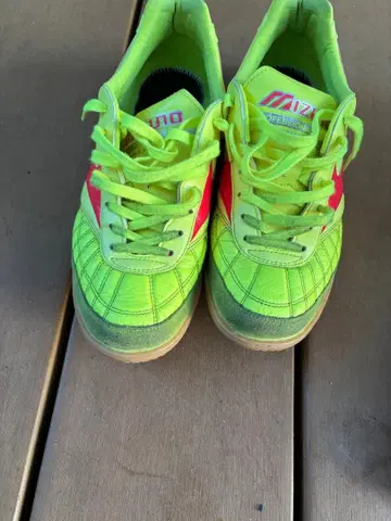 모렐리아 사라 재팬 26.0