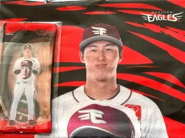 라쿠텐 이글스 온라인 가라폰 오타 히카루