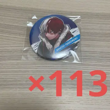 토도로키 쇼토 캔뱃지 십걸 113점