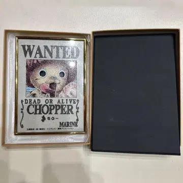 초파 현상금 보석화