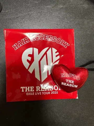 EXILE 헤어 액세서리 THE REASON