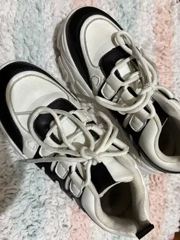 olive&olive 화이트/블랙 합성 피혁 스니커즈