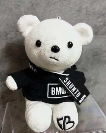 BEFIRST SHUNTO 곰 SEGA