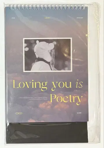 Ace님 굿즈 생일 마스터 달력 현진 hyunjin