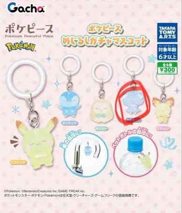 냐스퍼 포켓피스 가챠가챠 메지루시 액세서리