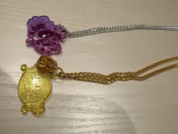 세본스타 시나코 타케파라