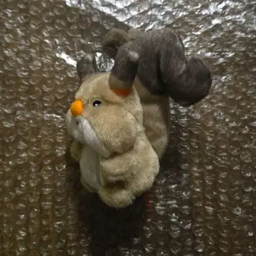 포켓몬 퍼펫 호시가리스