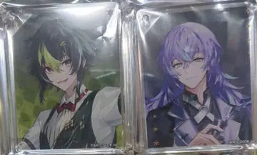 니지산지 애니카페 코롯타 이나미 라이 호시미치 쇼