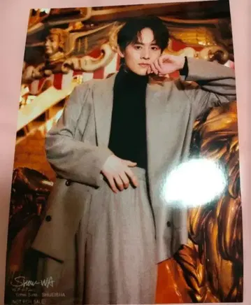 SHOW-WA 달력 북 무카이야마 타케시 브로마이드