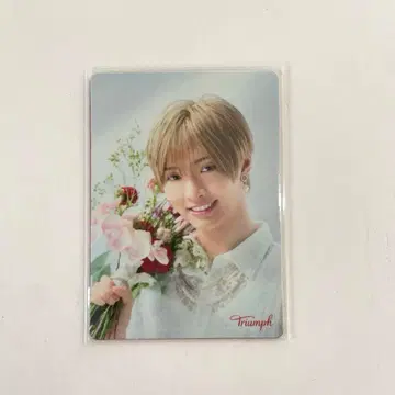 트림프 x 사토 신 씨(IMP.) 오리지널 메시지 카드 2장 세트