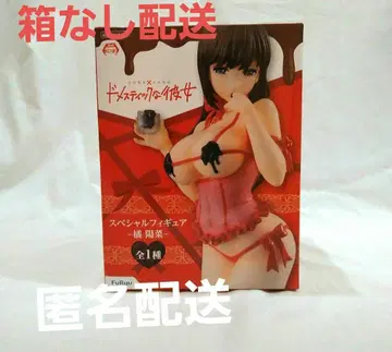 도메스틱한 그녀 타치바나 히나 피규어 외박스 없음 발송