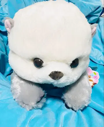 신나는 해달 봉제 인형 라이짱