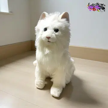 세가토이즈 꿈 고양이 작동 양호