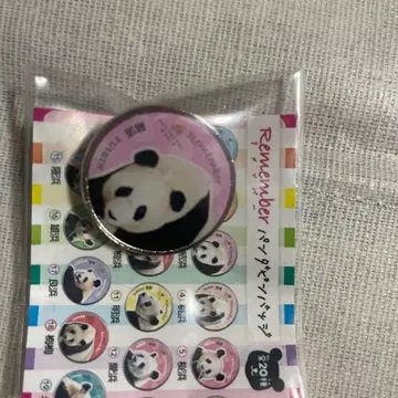 어드벤처 월드 유이 가챠가챠 레어 핀 배지 리멤버