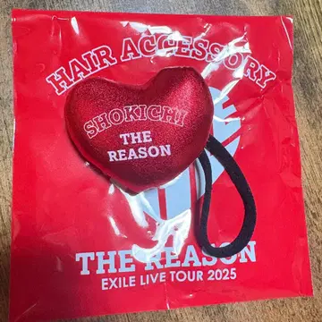 SHOKICHI 머리끈 THE REASON EXILE