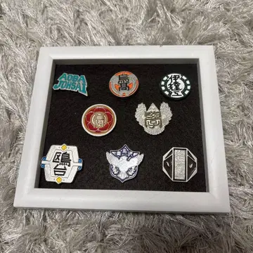 하이큐 고등학교 모티브 핀 배지 컴플리트