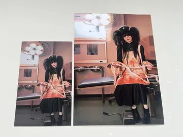 신 삼색 고양이 병원 lynch. 유스케 프로마이드 카드