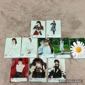 타카네노 나데시코 히나타바타 히나 브로마이드 10장 세트