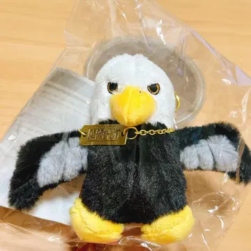 새상품 바벨 새