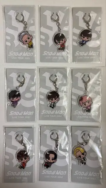 SnowMan 스노치루 아크릴 키링 9개 세트