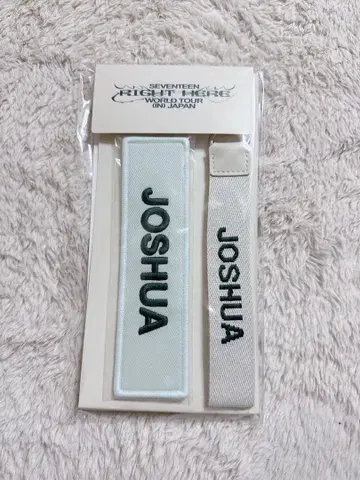 SEVENTEEN RIGHT HERE 와펜 조슈아