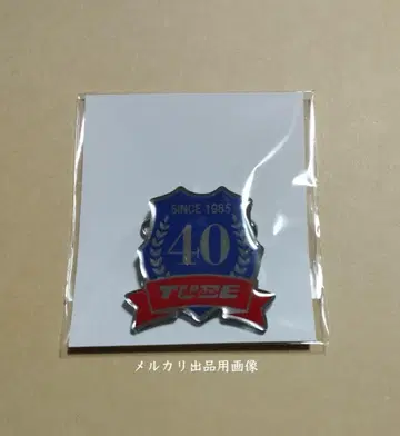 TUBE 팬클럽 40주년 기념 핀 배지 배송비 포함
