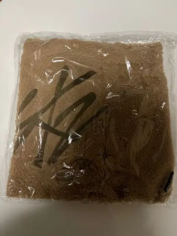 straykids 스키즈 보아 토트백