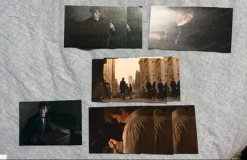 판타스틱 비스트 엽서 세트