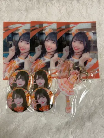 iLiFE! 코구마마무 아크릴 키링 클리어 카드 캔뱃지 세트