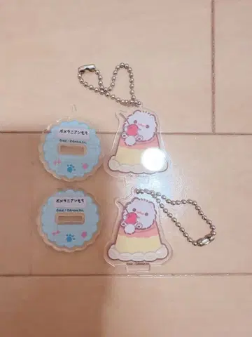 포메라니안 모찌 포메 모찌 스이파라