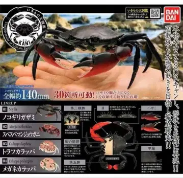 생물대도감 게 01 총 4종 트라프카라파 톱니발이망둑