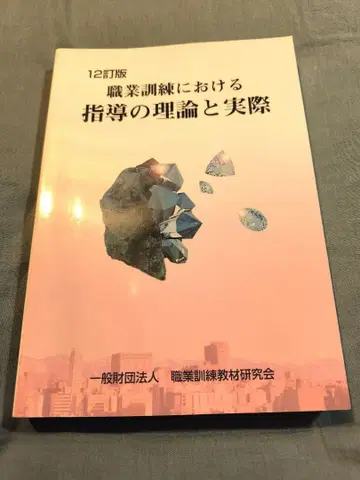 직업 훈련에서의 지도 이론과 실제 12개정판
