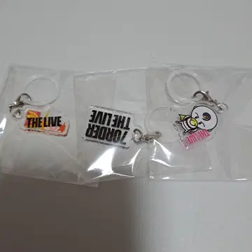 7ORDER THE LIVE 온라인 가챠