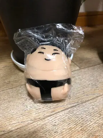 미개봉 리키신 피규어