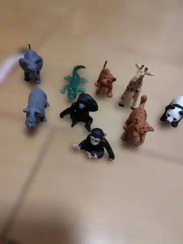 동물 세트 피규어 코뿔소 악어 사자 팬더 Panko