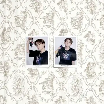 판타 야기 유세이 포토 카드 2세트