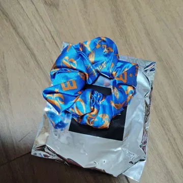 히다카 류타 스크런치 2