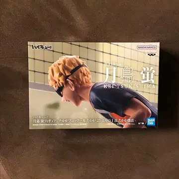 하이큐!! 츠키시마 케이 피규어