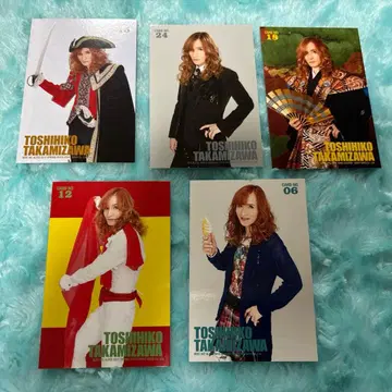 THE ALFEE 타카미자와 씨 트레이딩 카드 5장