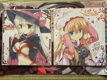 사노바위치 혜택 세트