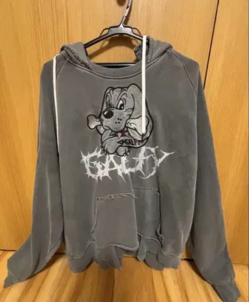 GALFY 염색 후드티 중형견