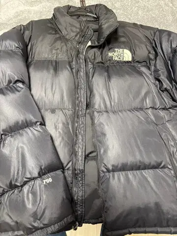 THE NORTH FACE 다운 자켓