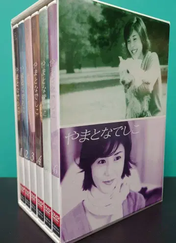 야마토 나데시코 DVD 전 6권