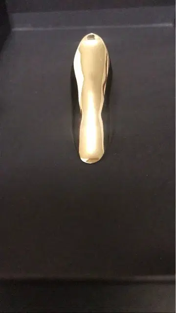 마유미 무라사와 쉴드 링 브라스