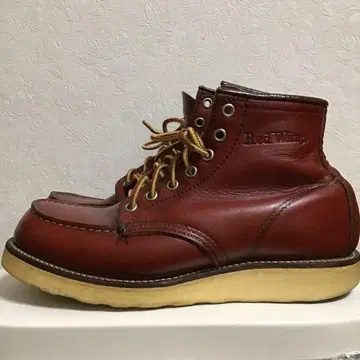 레드윙 아이리쉬 세터 7D