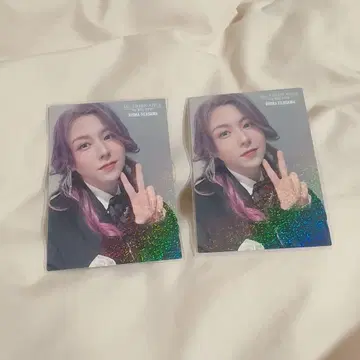 Mrs. GREEN APPLE 후지사와 료카 트레이딩 카드 레어