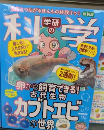 미개봉 새상품 과학의 gakken 가부토에비 세계 gakken