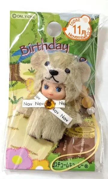 [ 새상품 미개봉 ] 벌스데이 베어 큐피 11월 탄생 코스튬 큐피